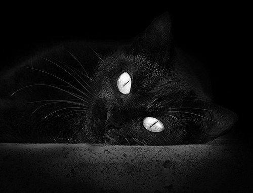 _智能跳远：科技赋能运动表现_，智能跳绳好不好