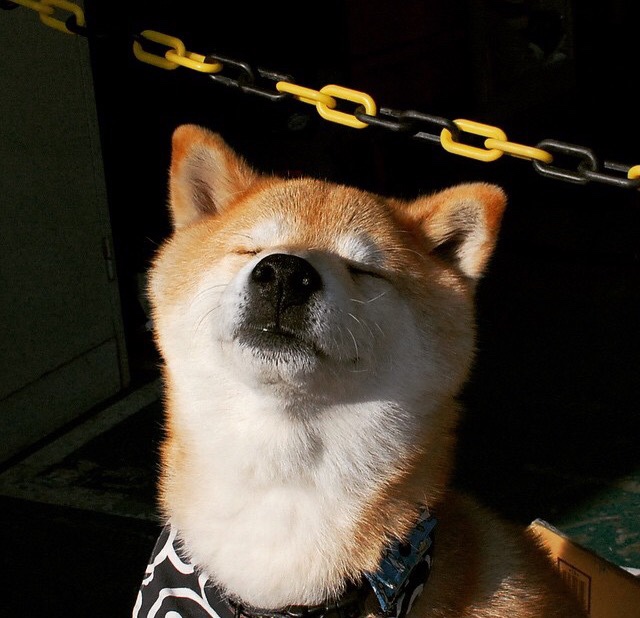 _湖人队展现拼搏精神,实现反弹_,湖人队训练视频2020