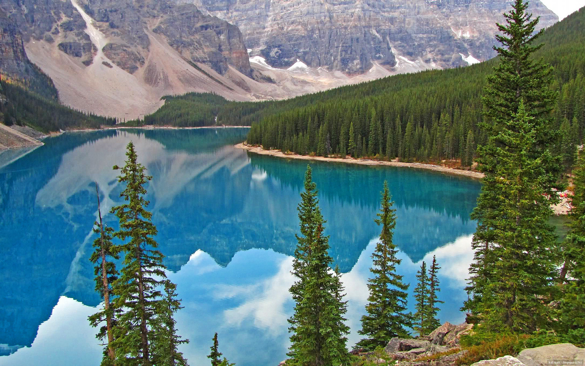 开云网页版-_森林狼凝聚力十足，追逐季后赛_，森林狼季后赛阵容