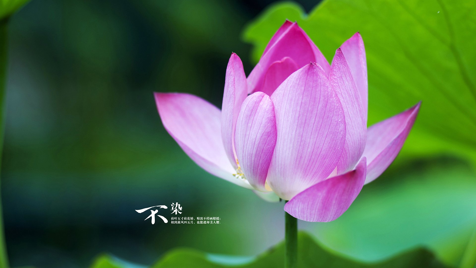 开云中国大陆-_篮网持续火力，全场压制对手_，篮网引起众怒