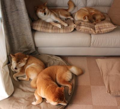 kaiyun官方网站-“意甲战局胶着，各大豪门争夺榜首榮誉”，意甲tim