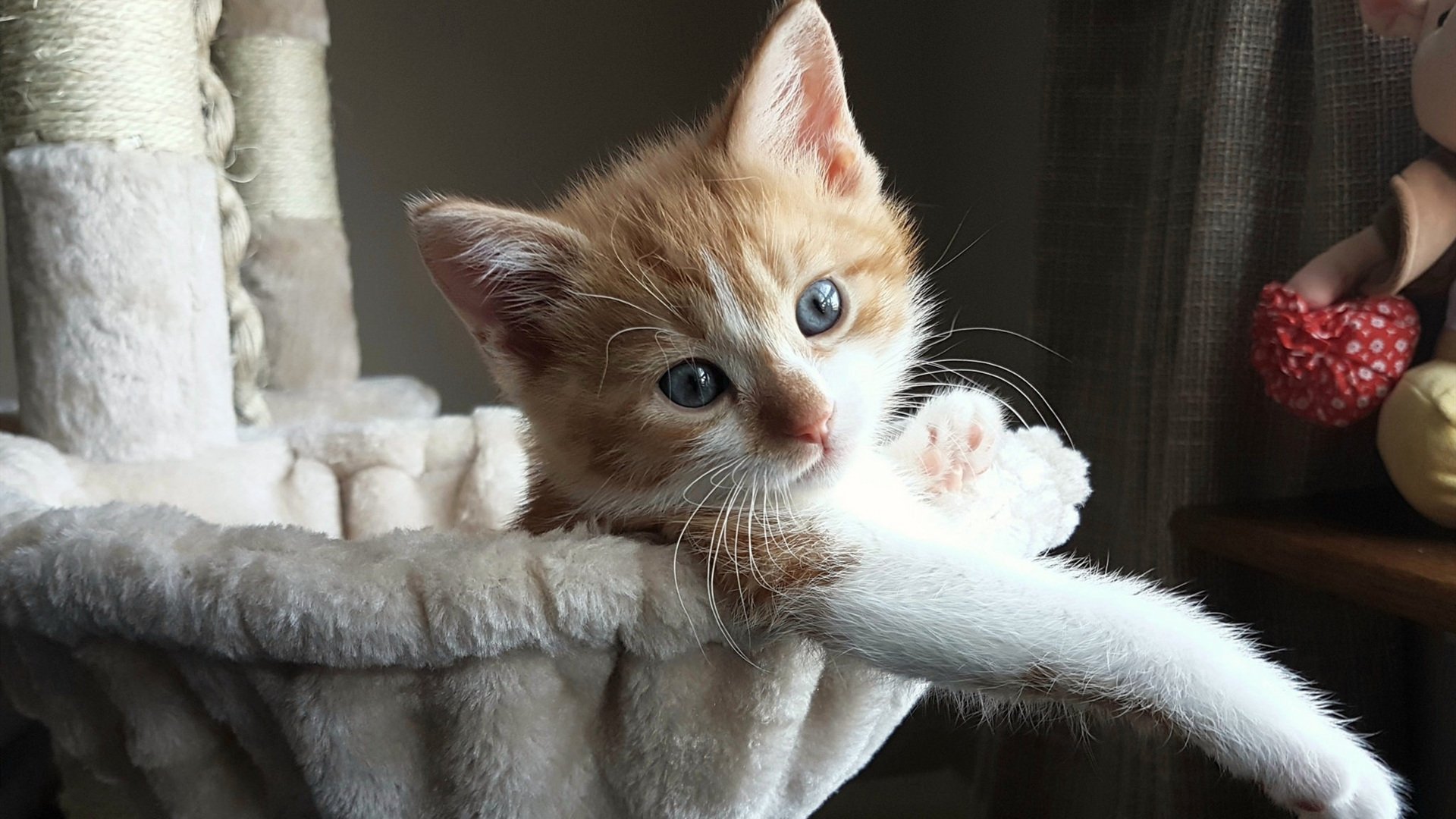 Kaiyun APP-【武器装备】棒球装备的最新科技应用，棒球 装备