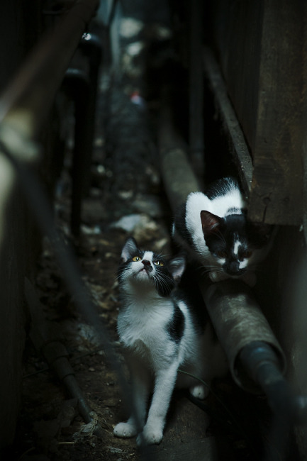 开云·体育官网-公益赛事层出不穷，用游戏温暖社会心灵，公益比赛项目