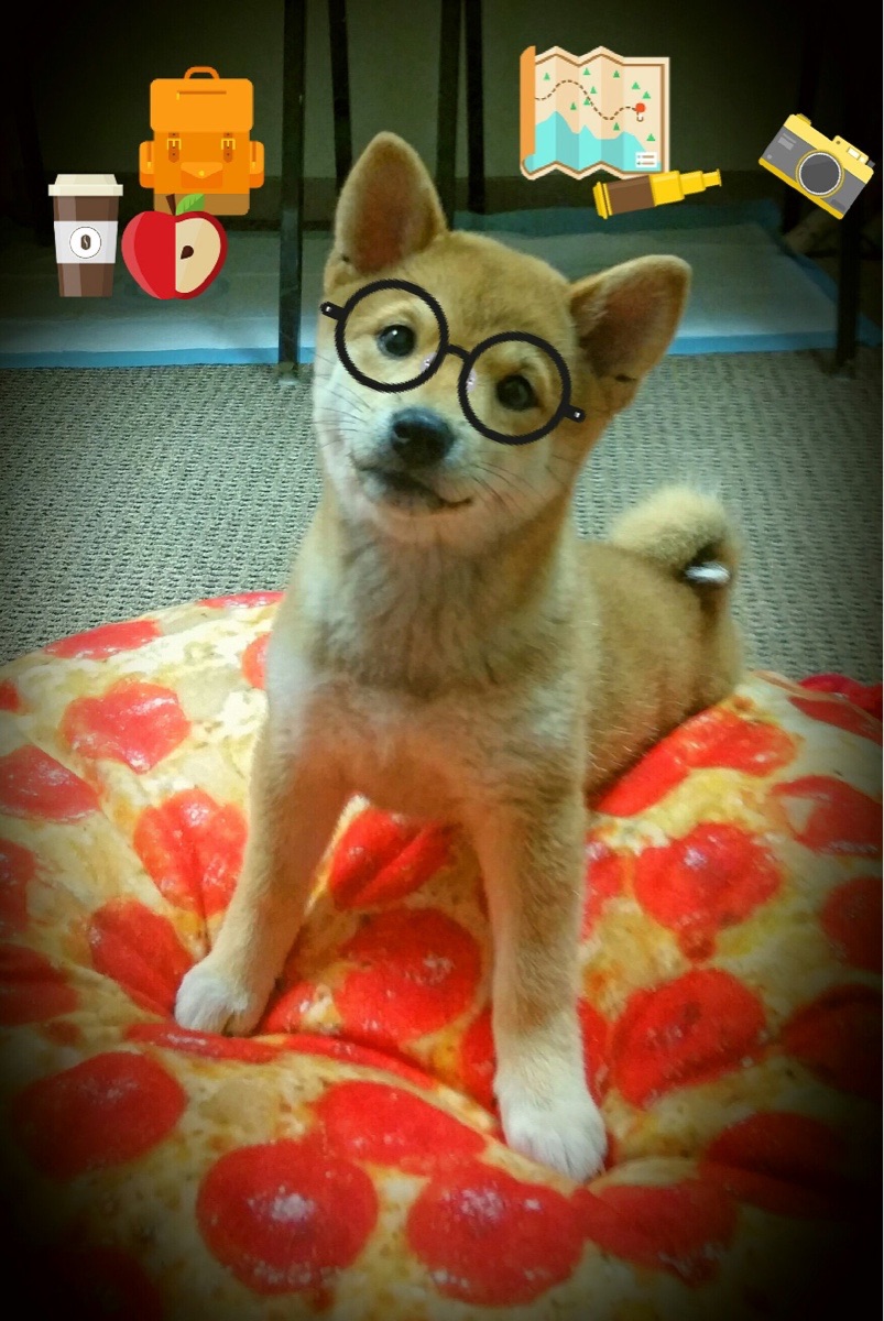 巴黎圣日尔曼引进多名欧洲顶级球员,重塑豪门阵容,巴黎圣日尔曼队