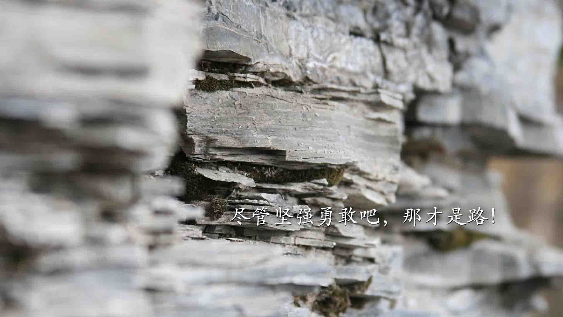 Kaiyun APP-极光探险跑：追随极光的运动盛宴，极光寻宝