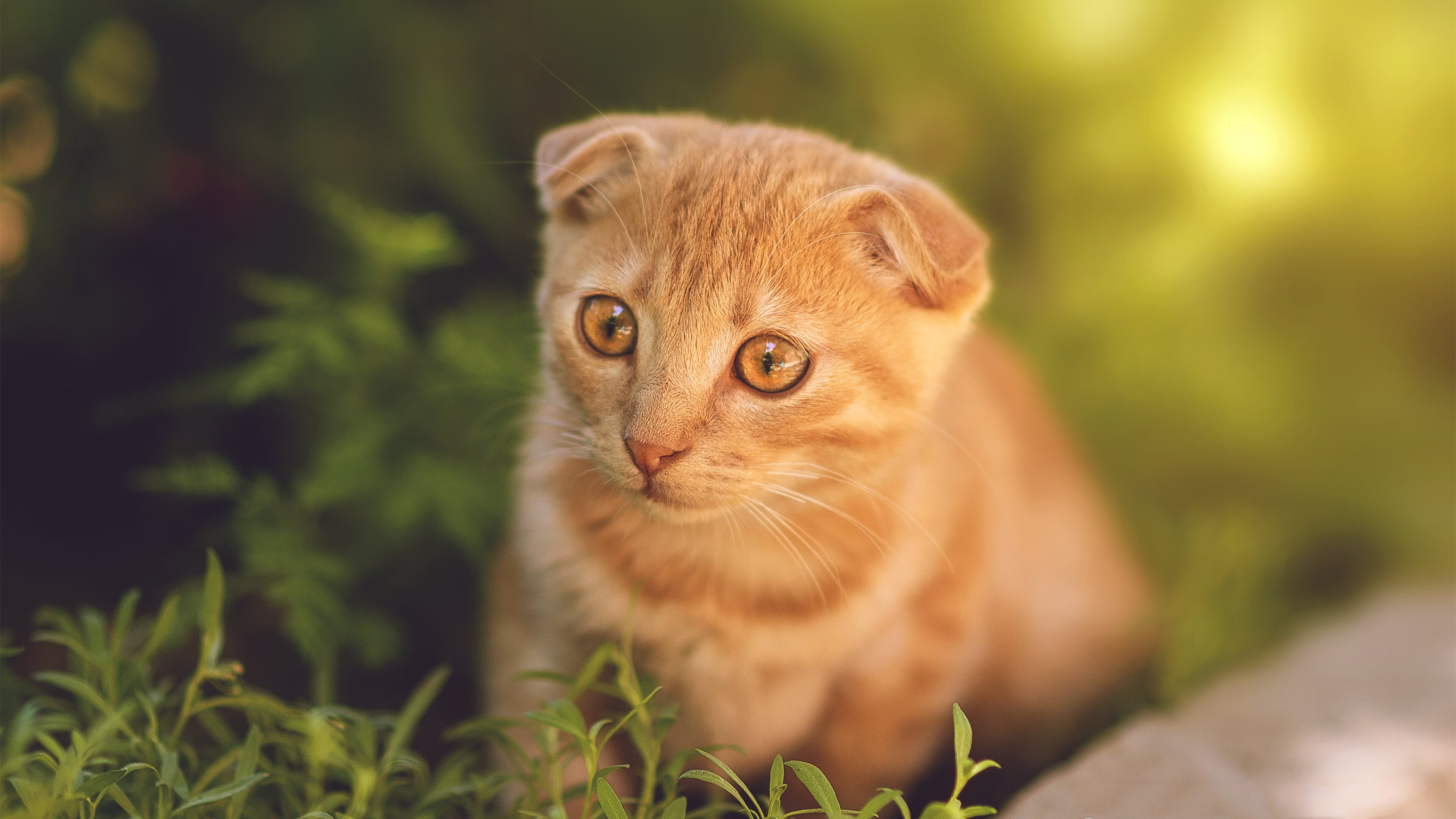 kaiyun网站-西甲：马德里双雄争夺激烈，积分差距缩小，马德里竞技西甲直播赛