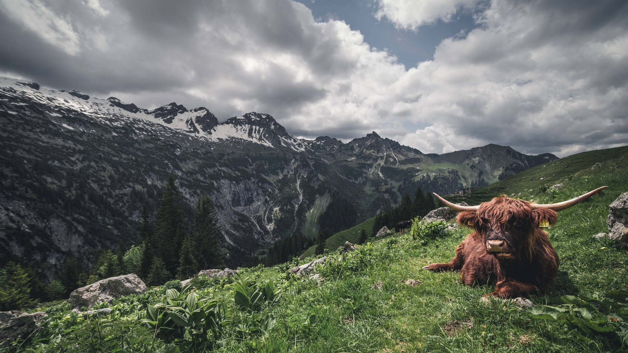 开云入口-足球出版物销量大幅增长反映群众热情，国内足球杂志