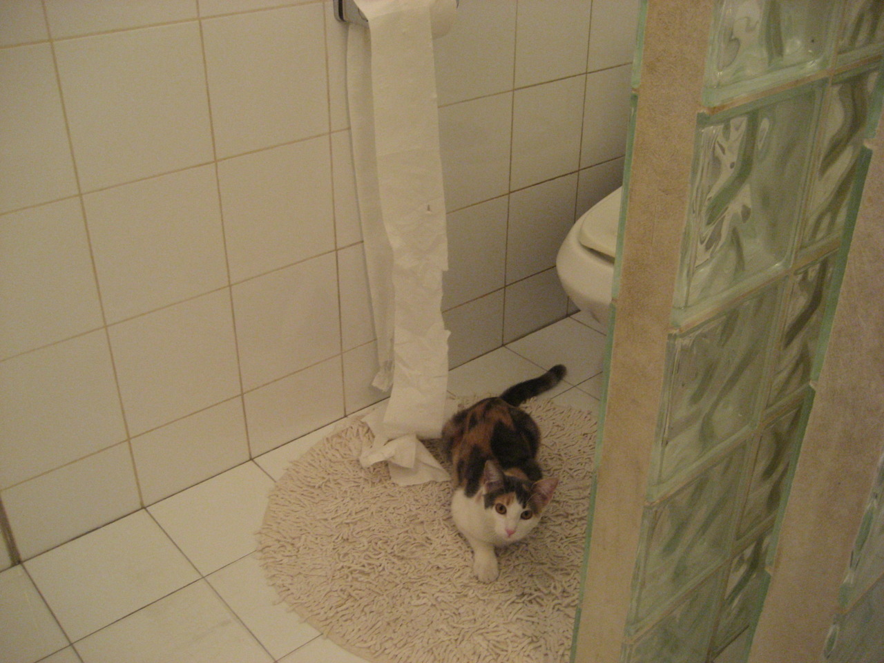 开云官网-AC米兰客场惜败，欧冠之梦灰飞烟灭，ac米兰欧冠2020