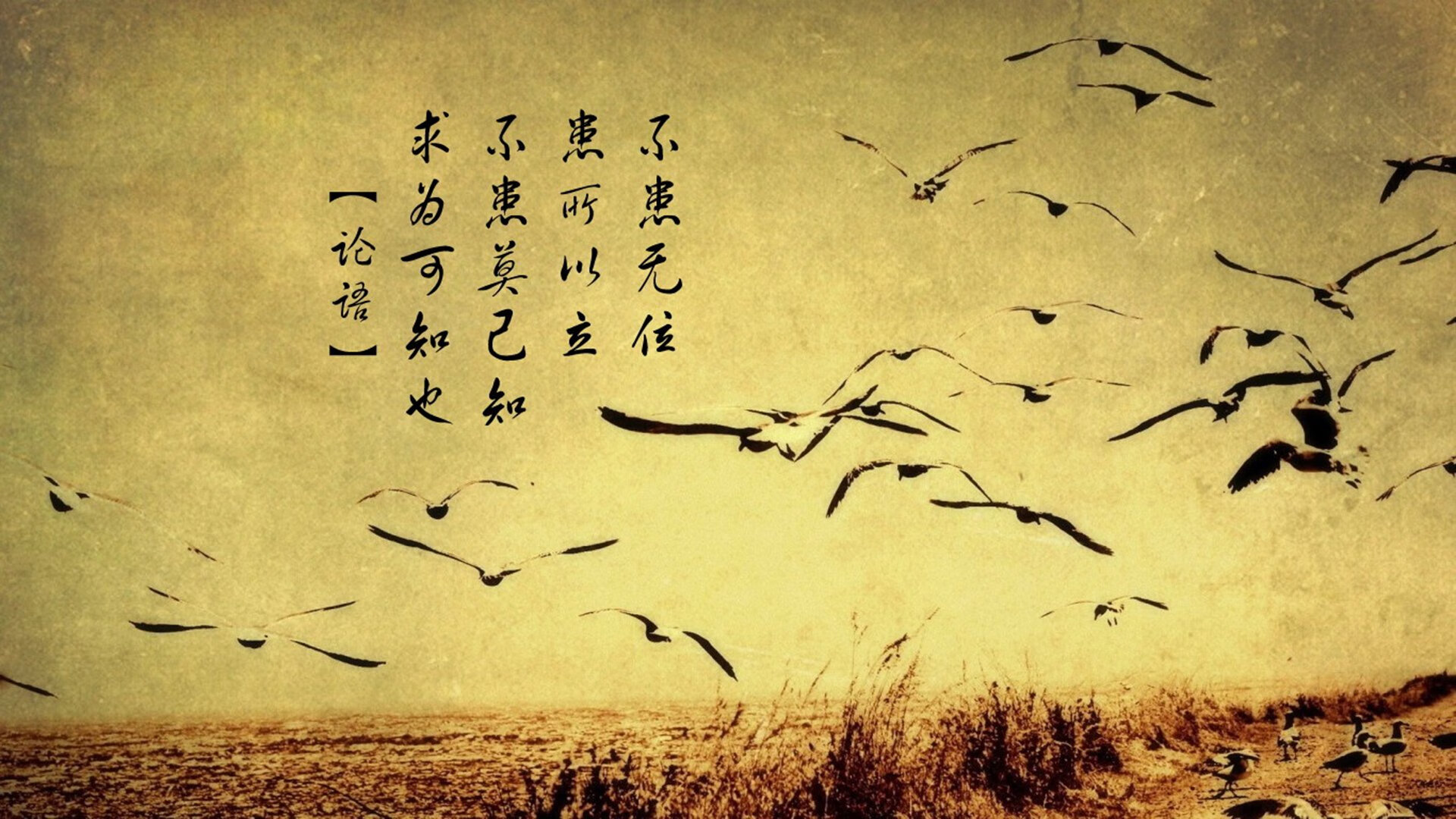 中超联赛的俱乐部运营策略分析,中超俱乐部所有者结构