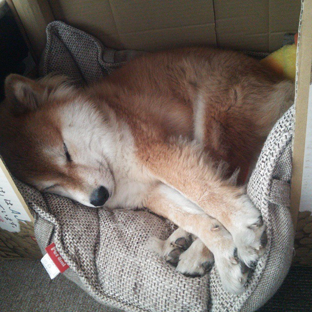 开云入口-俄罗斯篮球联赛将迎来新一轮激烈对抗，俄罗斯蓝球队