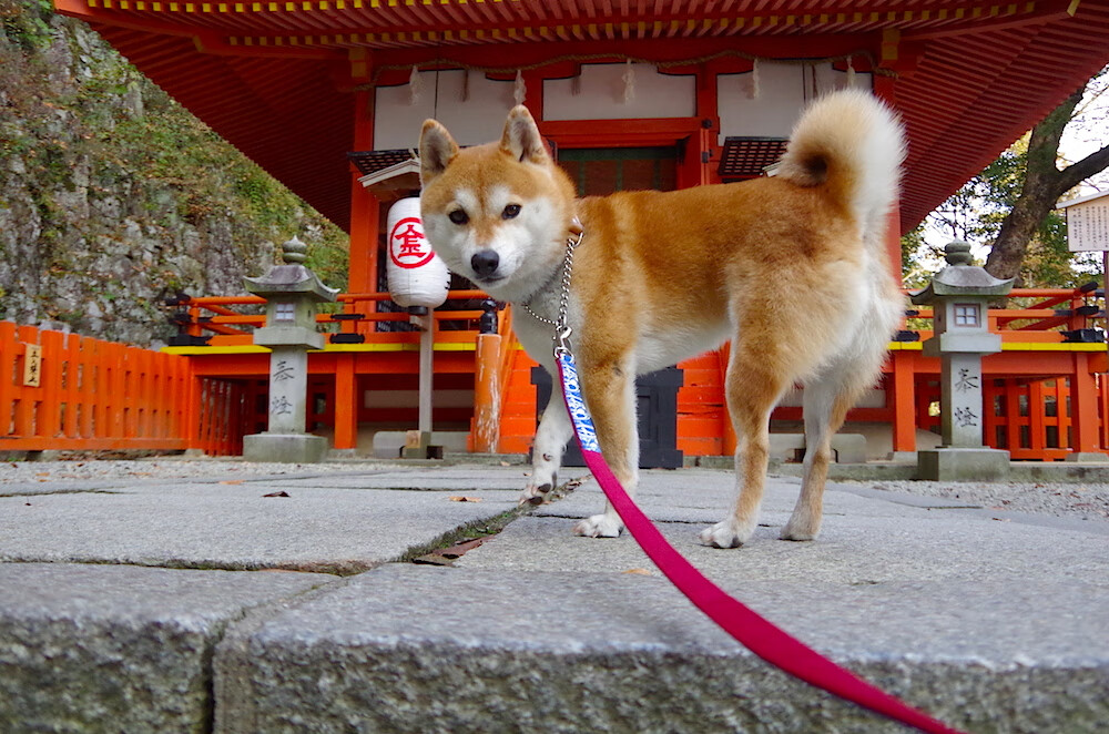 开云网站-是否应设立联盟内部文化评估体系，是否应设立联盟内部文化评估体系呢