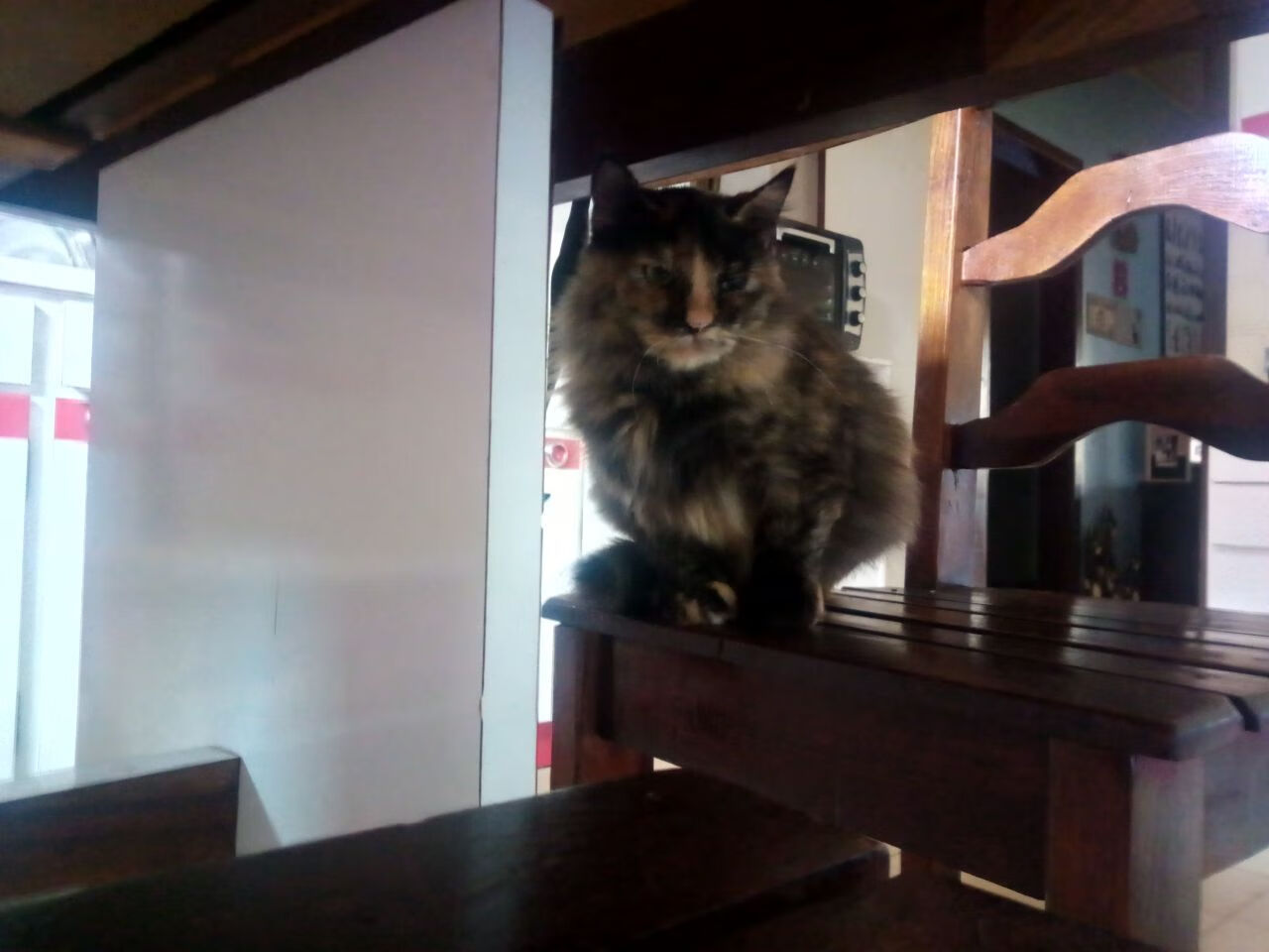 电竞城市电竞俱乐部密集落地,电竞俱乐部在哪个城市