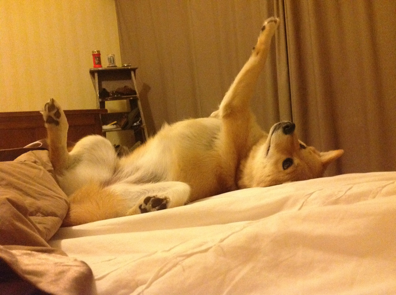 NBA赛季得分效率提升策略,nba赛季得分效率提升策略分析