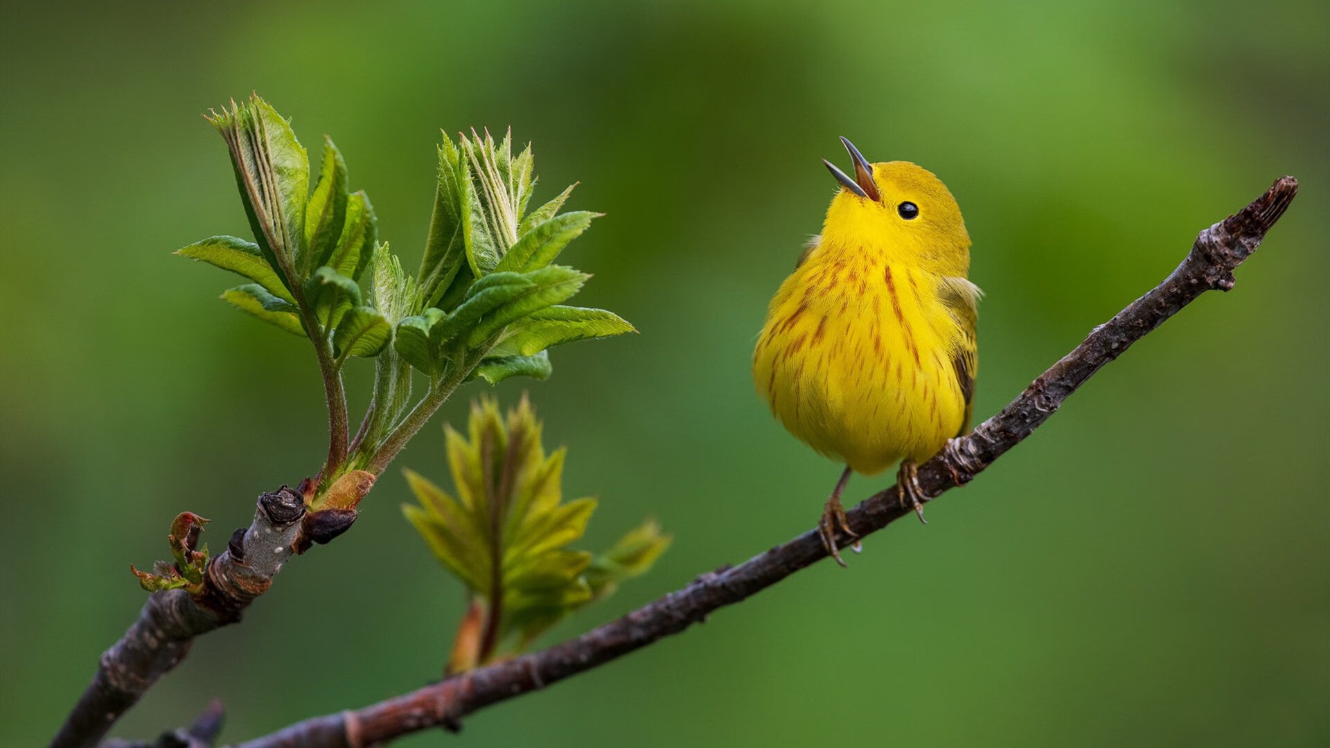 Kaiyun官方登录入口-法甲青训体系情绪波动监测工具与训练反馈机制研究