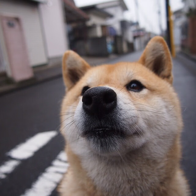 亚冠联赛中国足球平局 球迷理性看待结果,中国足球亚冠征战史