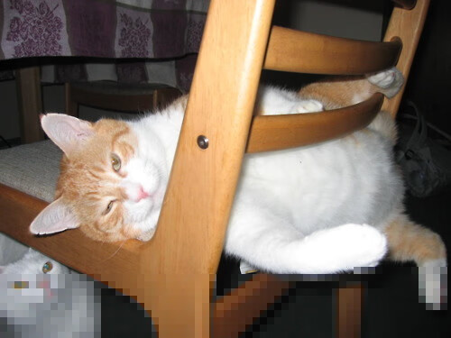 心理策略助力保级黑马完成逆境持续发挥路径,心理保障