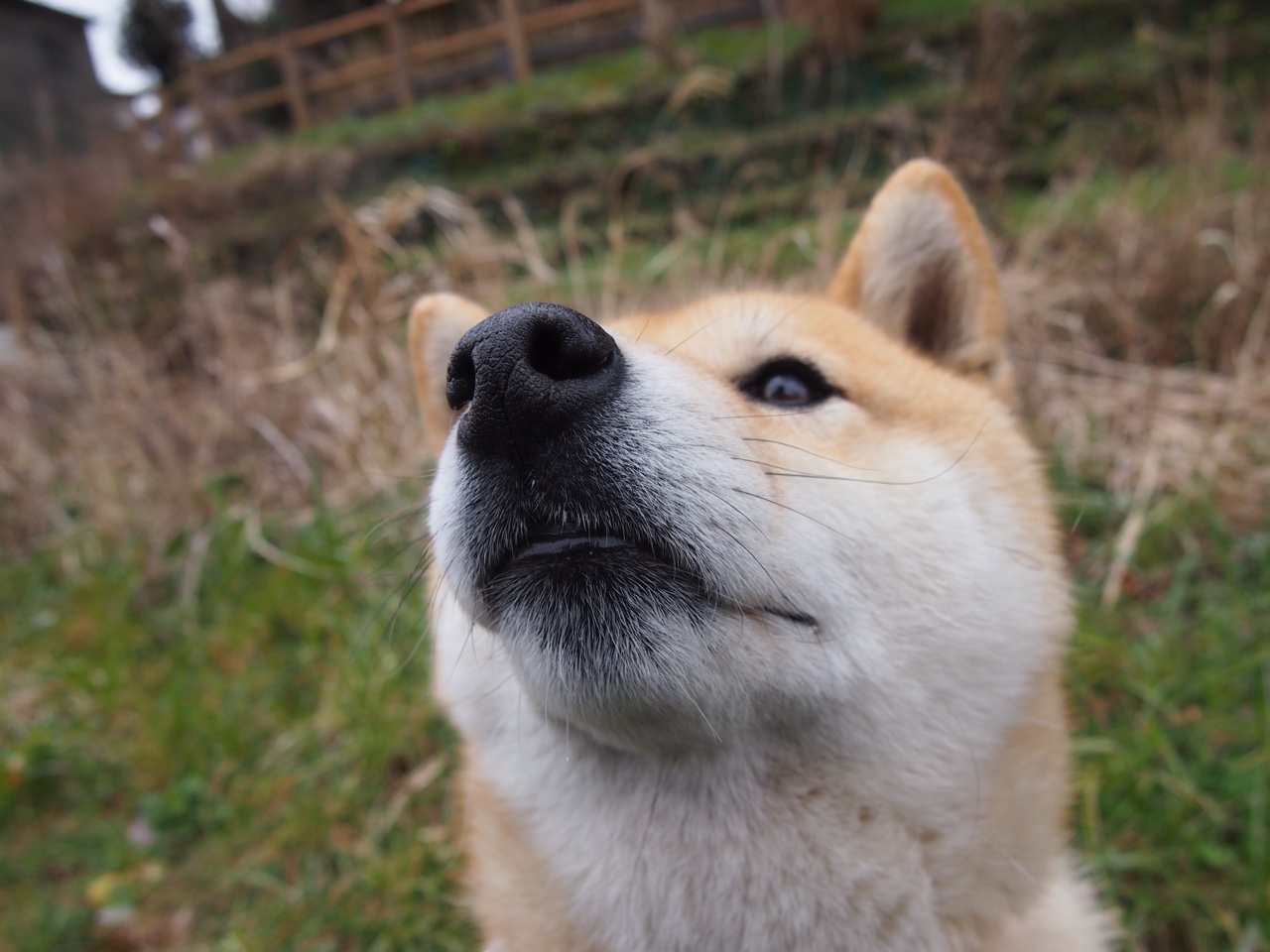 联赛高压防守与强队构建的心理韧性关系洞察,高压挑战攻守兼备