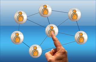 kaiyun官方入口登录-高校电竞联赛冠军诞生 战术与团队缺一不可，高校电竞联盟挑战赛全国总决赛