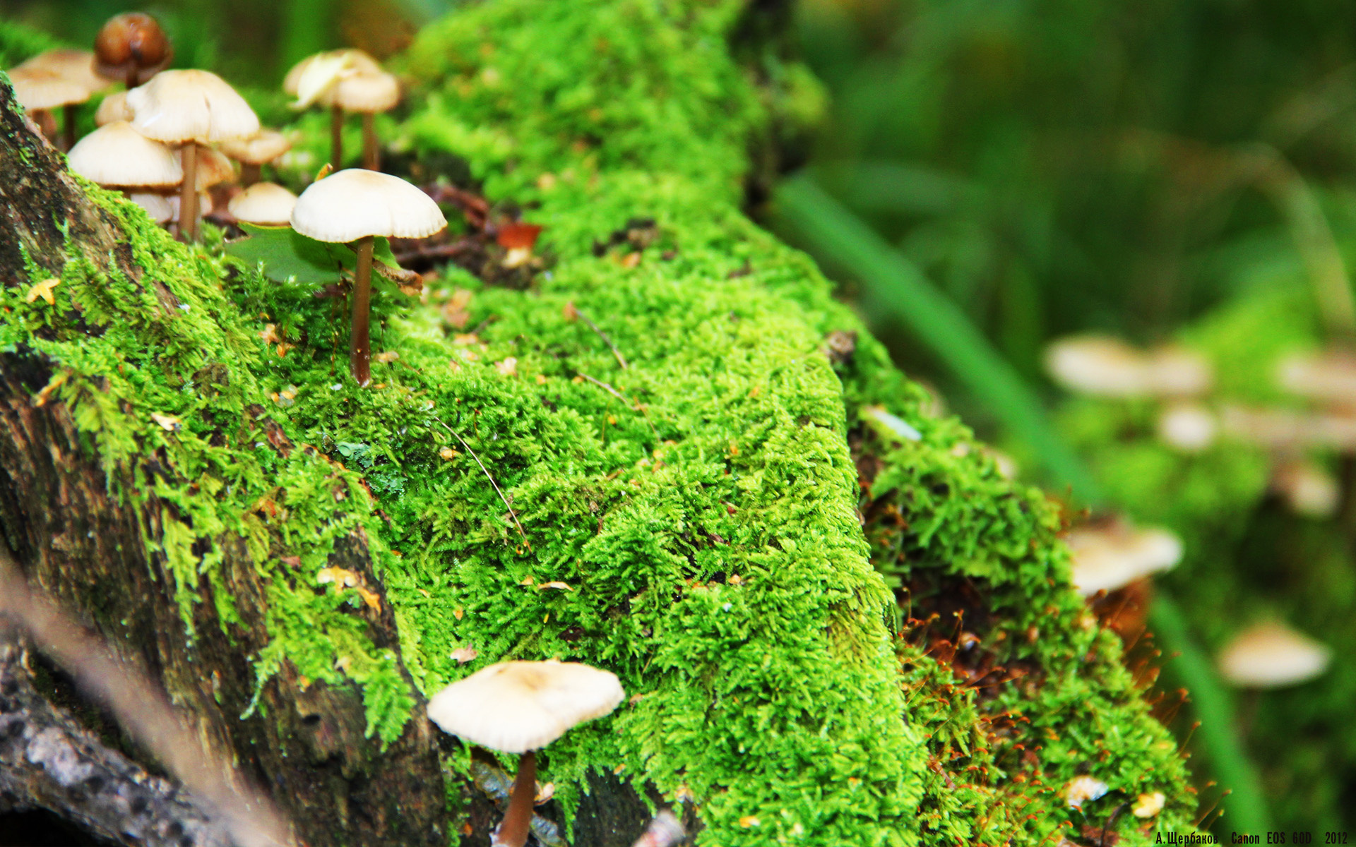 KAIYUNAPP-CBA球队制定球员营养标准统一饮食结构，cba球员的伙食