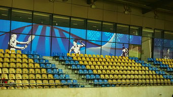 kaiyun体育综合-巴西青训体系持续投入，未来足球天才持续涌现