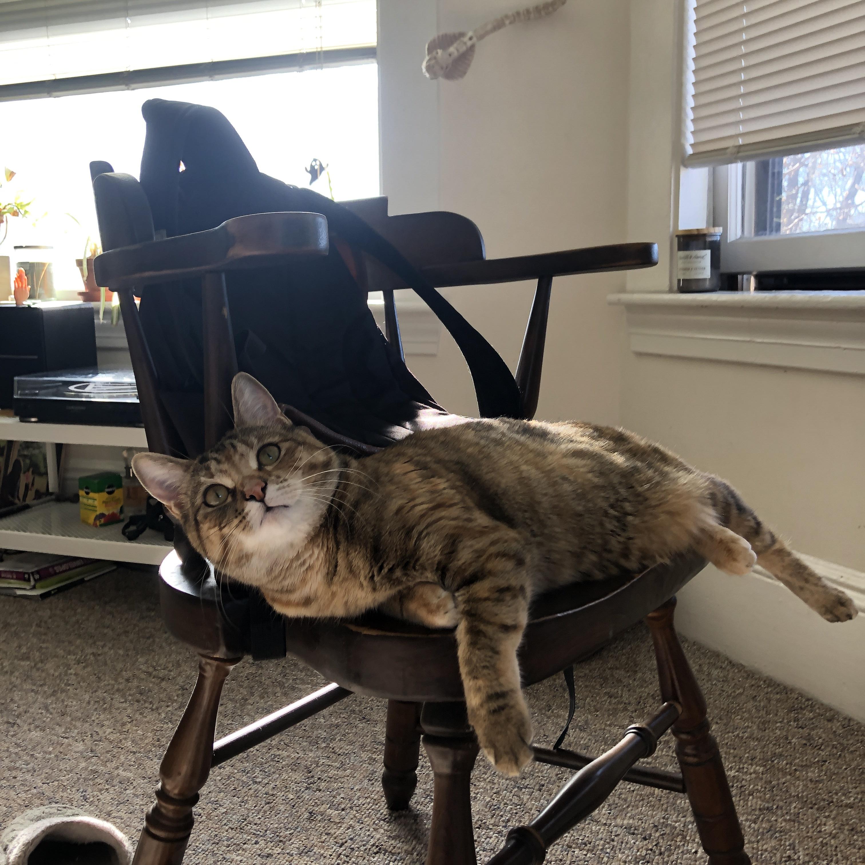 kaiyun官方入口登录-拉恩：全黑队外线的“闪电手”，每一次突破都为队友提供宝贵机会