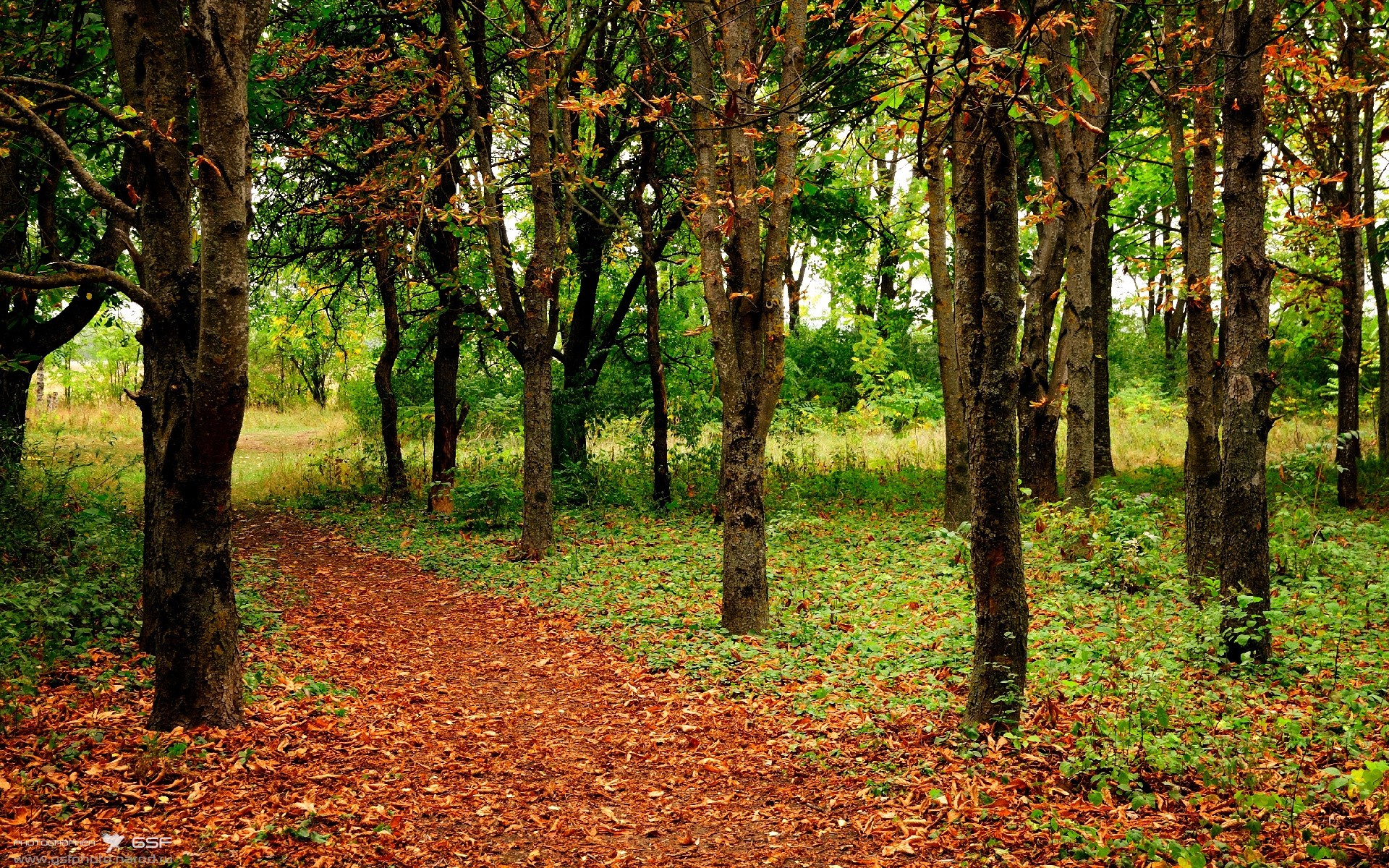 欧洲杯精彩集锦:战术、技术、效果一应俱全!,欧洲杯太精彩了