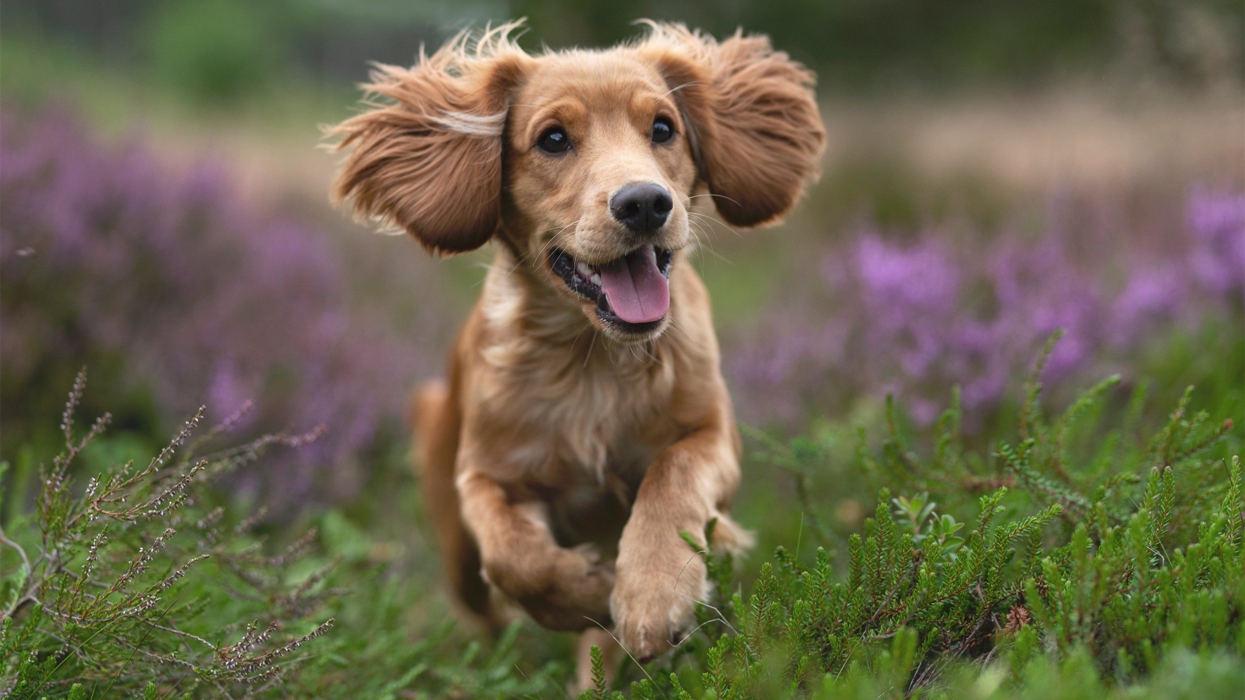 穆里尼奥直播连线老将温情满满,穆里尼奥集锦