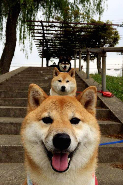 西甲天王现场表演:一个人带领全队冲锋,西甲sporting